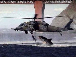 shark-helicopter Fake shark/helicopter pic